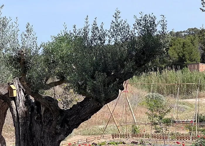 Serra De Martines Casa de Campo